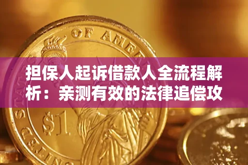 武汉担保人起诉借款人全流程解析：亲测有效的法律追偿攻略