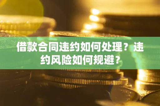 武汉借款合同违约如何处理？违约风险如何规避？