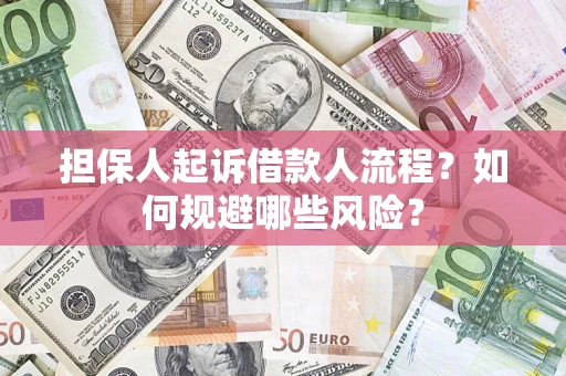 武汉担保人起诉借款人流程？如何规避哪些风险？