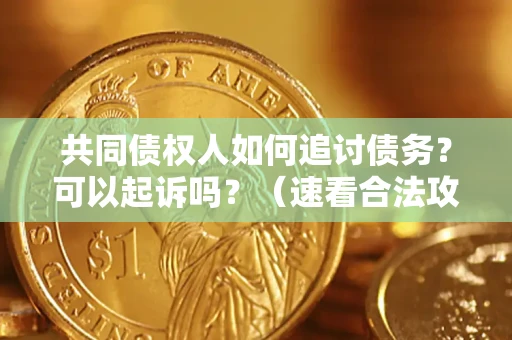 武汉共同债权人如何追讨债务？可以起诉吗？（速看合法攻略）