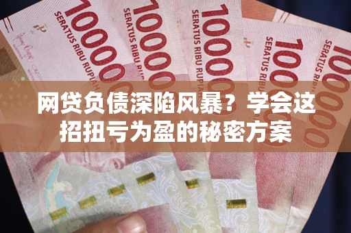 武汉网贷负债深陷风暴？学会这招扭亏为盈的秘密方案